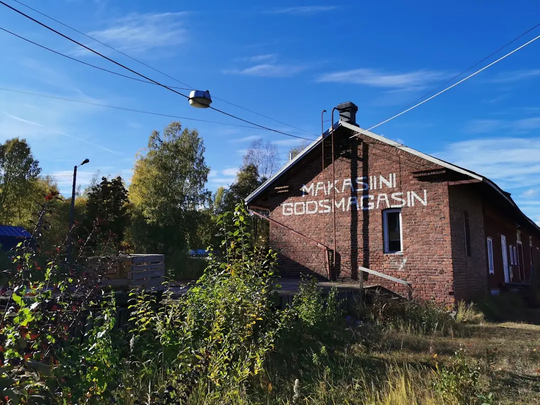 Kul höst med Göteborgs bästa utställningar illustration